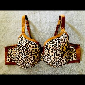 Cacique Cheetah leopard bra size 44C